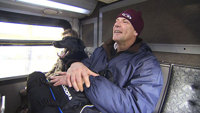 Every Day This Dog Rides The Bus All By Herself To Go To The Park Every Day This Dog Rides The Bus All By Herself To Go To The Park