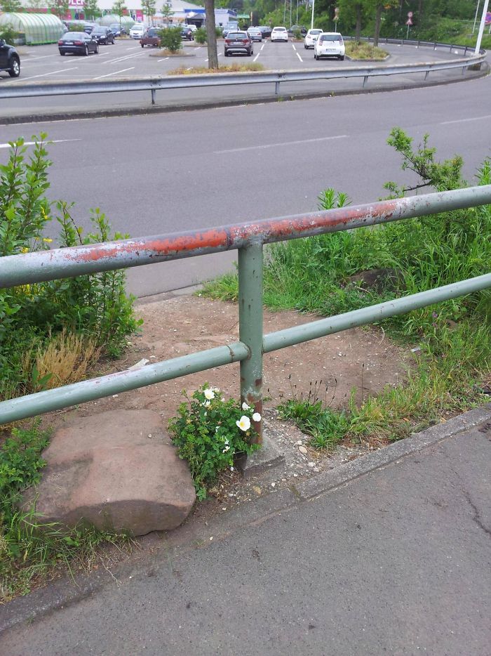 152 Unbelievable Examples Of Things Being Worn Down Over Time 152 Unbelievable Examples Of Things Being Worn Down Over Time