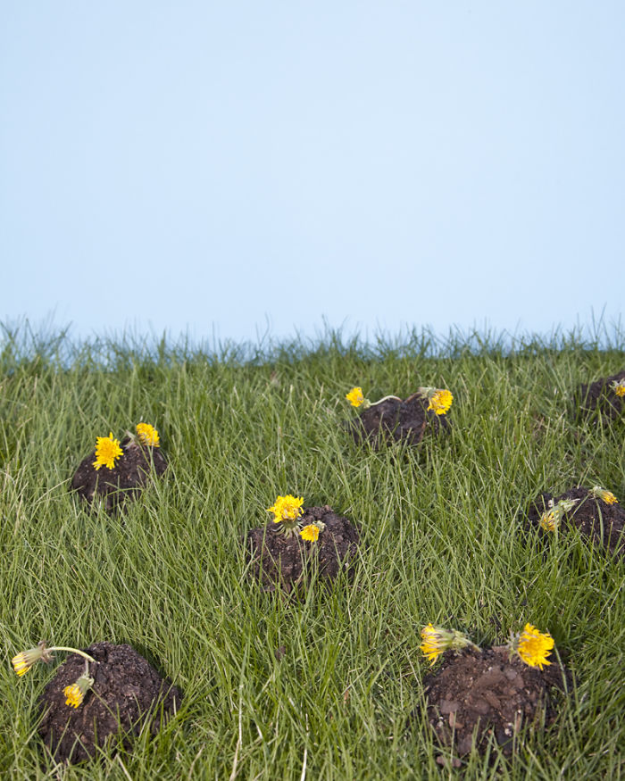 Photographer Breaks 43 Of The Most Ridiculous Laws In America, And It&#8217;s Hilarious