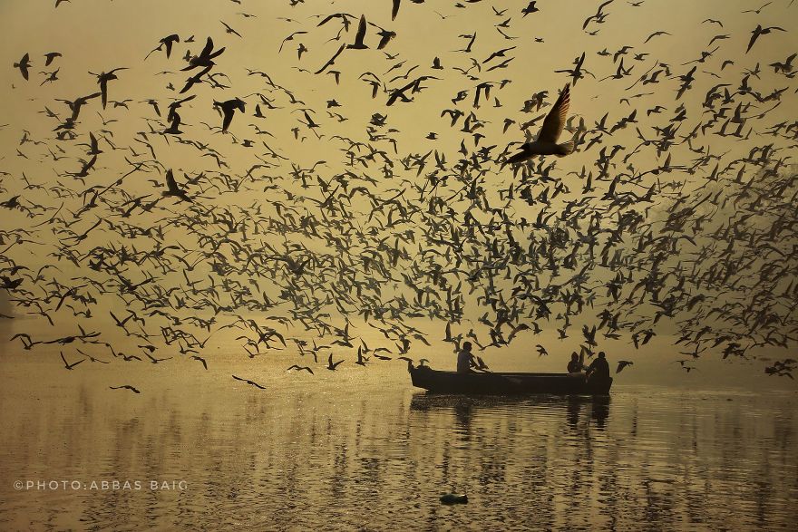 Former Engineer Is Winning India’s Heart With His Emotional Photographs