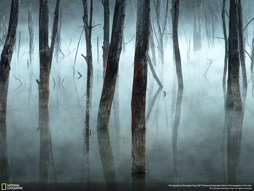 Winners Of The 2017 Nat Geo Nature Photographer Of The Year Contest Will Take Your Breath Away Winners Of The 2017 Nat Geo Nature Photographer Of The Year Contest Will Take Your Breath Away