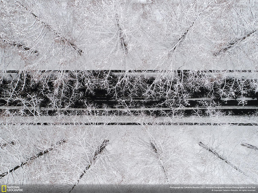 Winners Of The 2017 Nat Geo Nature Photographer Of The Year Contest Will Take Your Breath Away Winners Of The 2017 Nat Geo Nature Photographer Of The Year Contest Will Take Your Breath Away