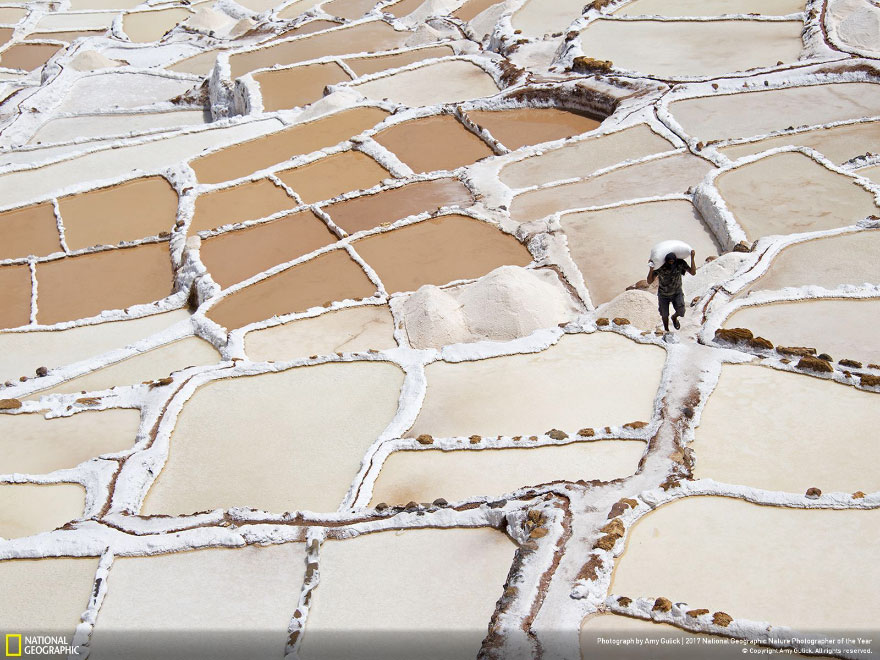 Winners Of The 2017 Nat Geo Nature Photographer Of The Year Contest Will Take Your Breath Away Winners Of The 2017 Nat Geo Nature Photographer Of The Year Contest Will Take Your Breath Away