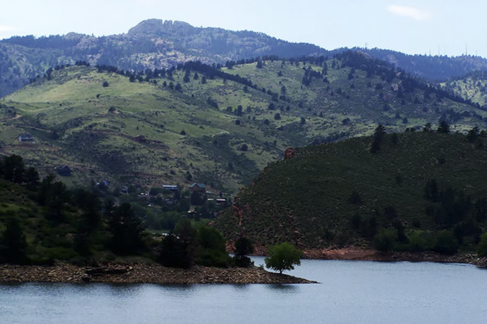 Deer Walks Into Store To Check Their Goods, Comes Back Later With Her Kids