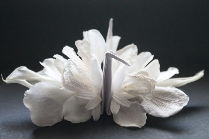 I Folded And Decorated An Origami Crane Every Day, For 1000 Days