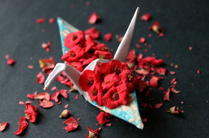 I Folded And Decorated An Origami Crane Every Day, For 1000 Days