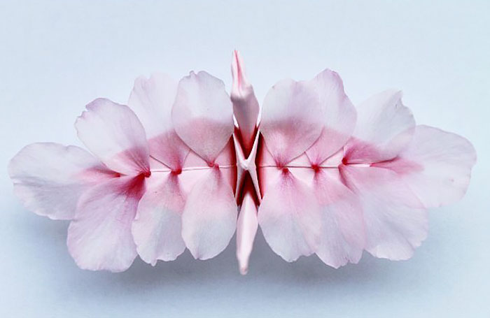 I Folded And Decorated An Origami Crane Every Day, For 1000 Days