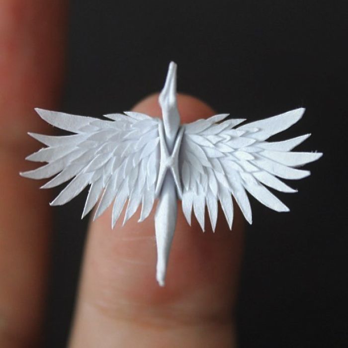 I Folded And Decorated An Origami Crane Every Day, For 1000 Days