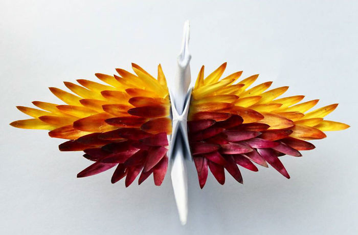 I Folded And Decorated An Origami Crane Every Day, For 1000 Days