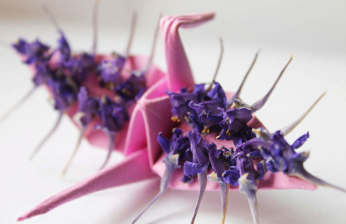 I Folded And Decorated An Origami Crane Every Day, For 1000 Days