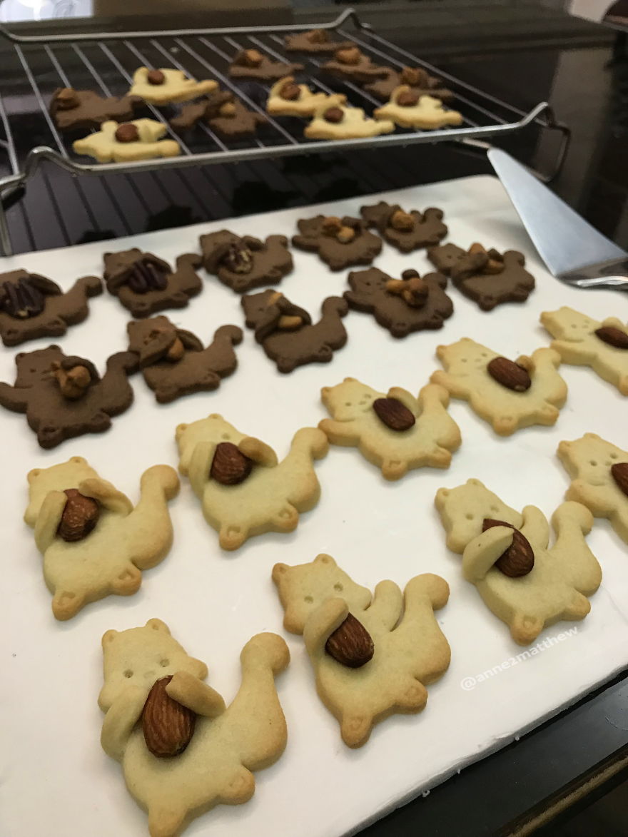 Nut Hugging Squirrel Nut Hugging Squirrel