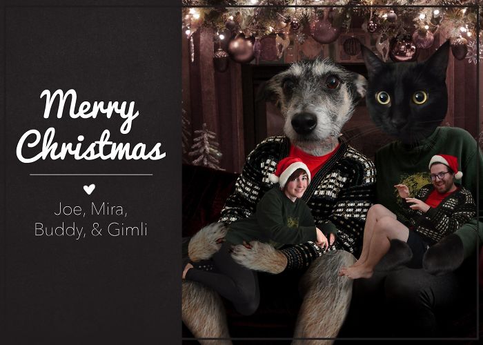 301 Times People Sent The Most Hilarious Christmas Cards Ever 301 Times People Sent The Most Hilarious Christmas Cards Ever