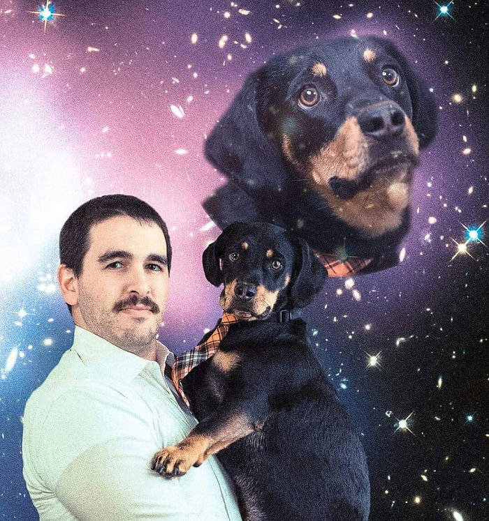 301 Times People Sent The Most Hilarious Christmas Cards Ever 301 Times People Sent The Most Hilarious Christmas Cards Ever