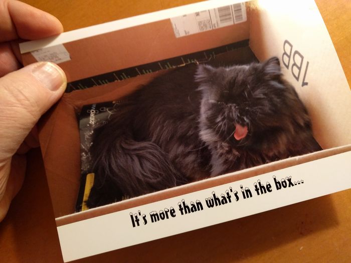 301 Times People Sent The Most Hilarious Christmas Cards Ever 301 Times People Sent The Most Hilarious Christmas Cards Ever