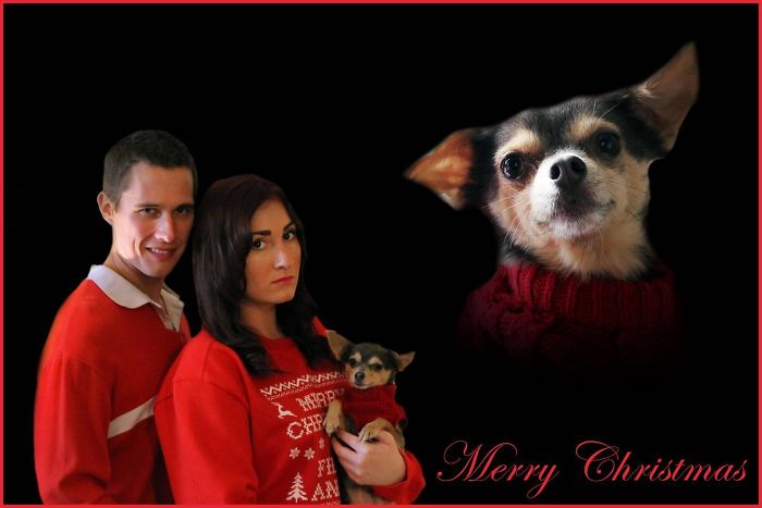 301 Times People Sent The Most Hilarious Christmas Cards Ever 301 Times People Sent The Most Hilarious Christmas Cards Ever