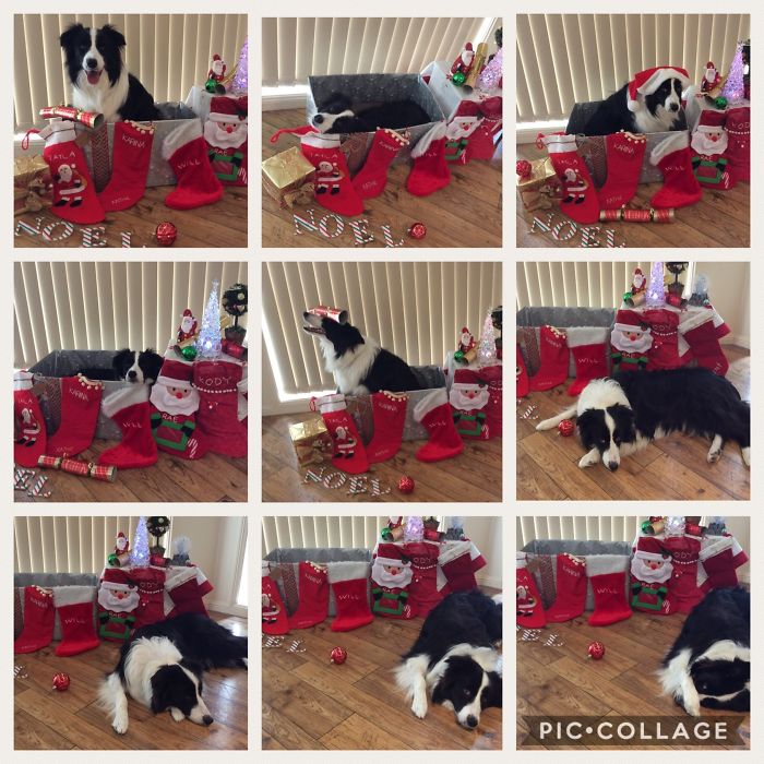 301 Times People Sent The Most Hilarious Christmas Cards Ever 301 Times People Sent The Most Hilarious Christmas Cards Ever