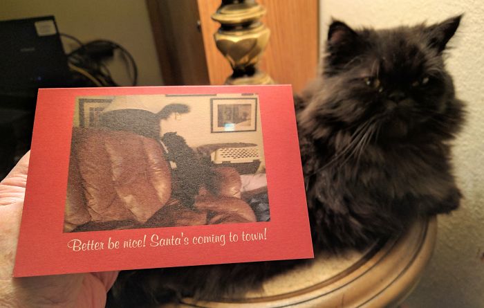 301 Times People Sent The Most Hilarious Christmas Cards Ever 301 Times People Sent The Most Hilarious Christmas Cards Ever