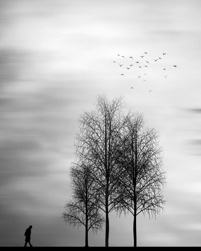 Artist Spots Patterns And Shapes In Everyday Life, Creates Beautiful Minimal Photos Artist Spots Patterns And Shapes In Everyday Life, Creates Beautiful Minimal Photos