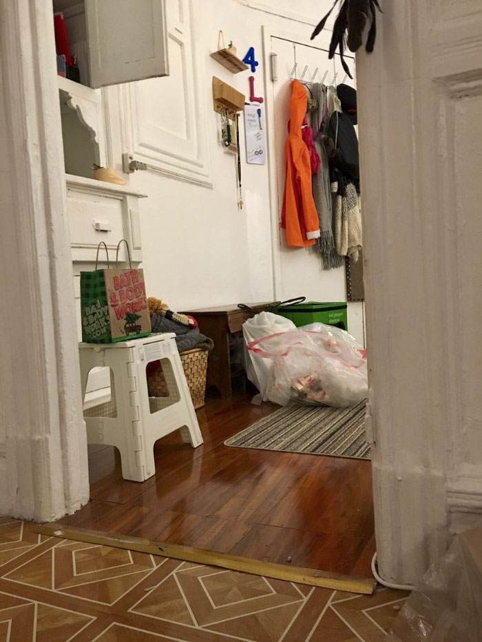 Almost Nobody Could Find The Cat In This Picture, And Her Owner Posted A Whole Gallery Of Her Ninja Cat