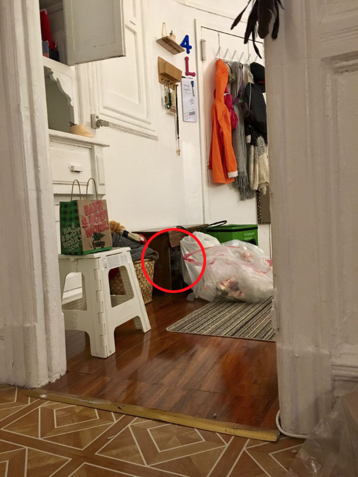 Almost Nobody Could Find The Cat In This Picture, And Her Owner Posted A Whole Gallery Of Her Ninja Cat