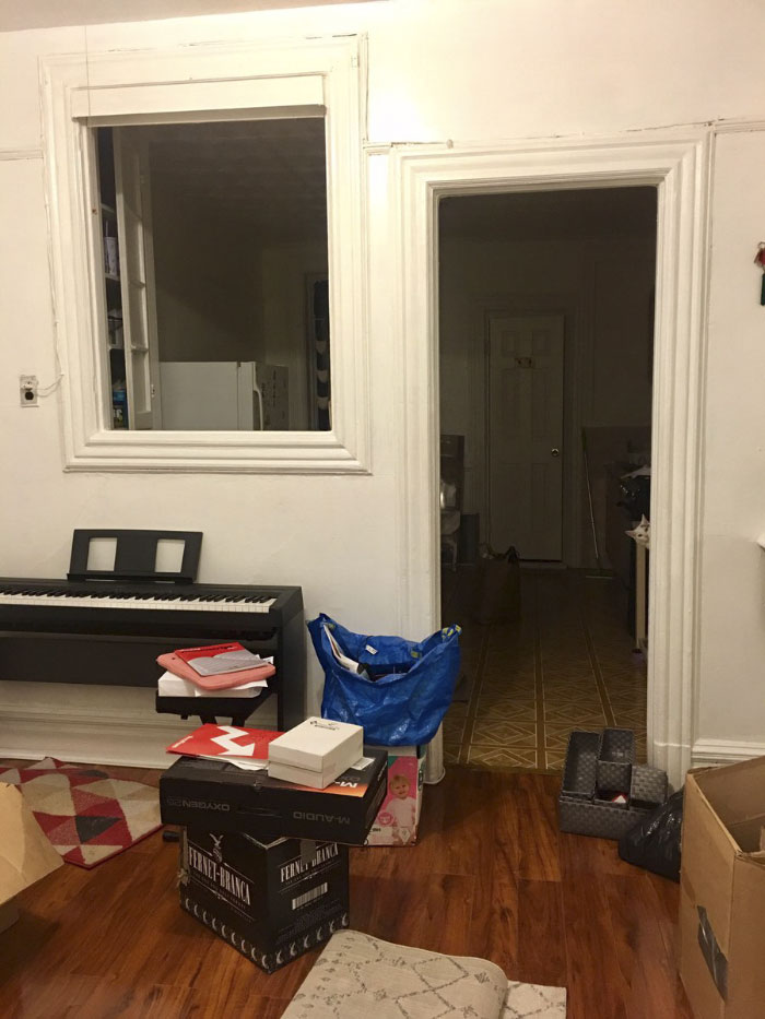 Almost Nobody Could Find The Cat In This Picture, And Her Owner Posted A Whole Gallery Of Her Ninja Cat