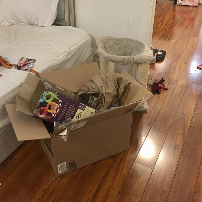 Almost Nobody Could Find The Cat In This Picture, And Her Owner Posted A Whole Gallery Of Her Ninja Cat