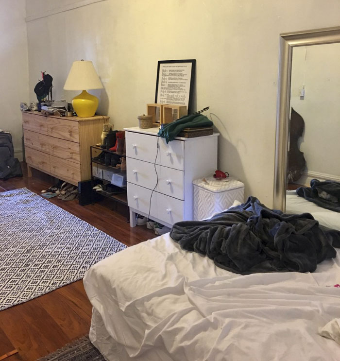 Almost Nobody Could Find The Cat In This Picture, And Her Owner Posted A Whole Gallery Of Her Ninja Cat