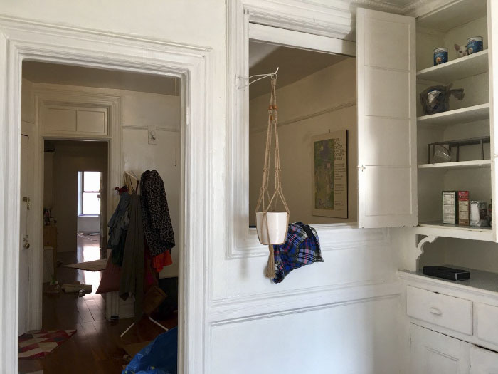 Almost Nobody Could Find The Cat In This Picture, And Her Owner Posted A Whole Gallery Of Her Ninja Cat