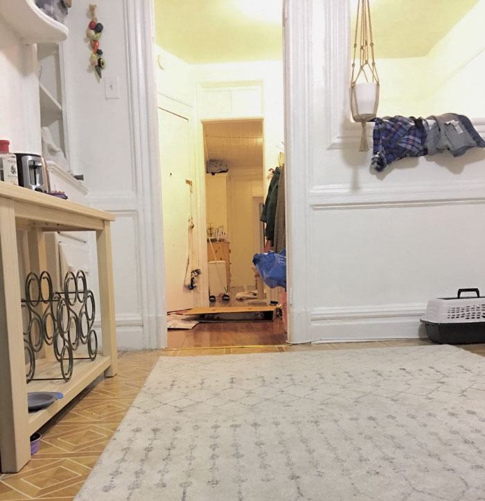 Almost Nobody Could Find The Cat In This Picture, And Her Owner Posted A Whole Gallery Of Her Ninja Cat