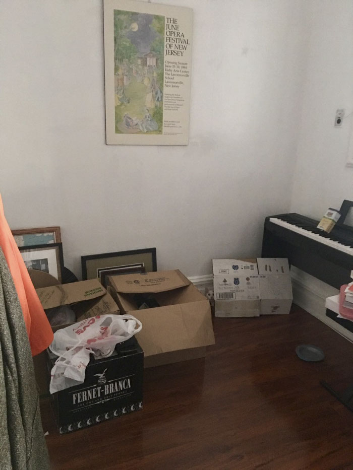 Almost Nobody Could Find The Cat In This Picture, And Her Owner Posted A Whole Gallery Of Her Ninja Cat