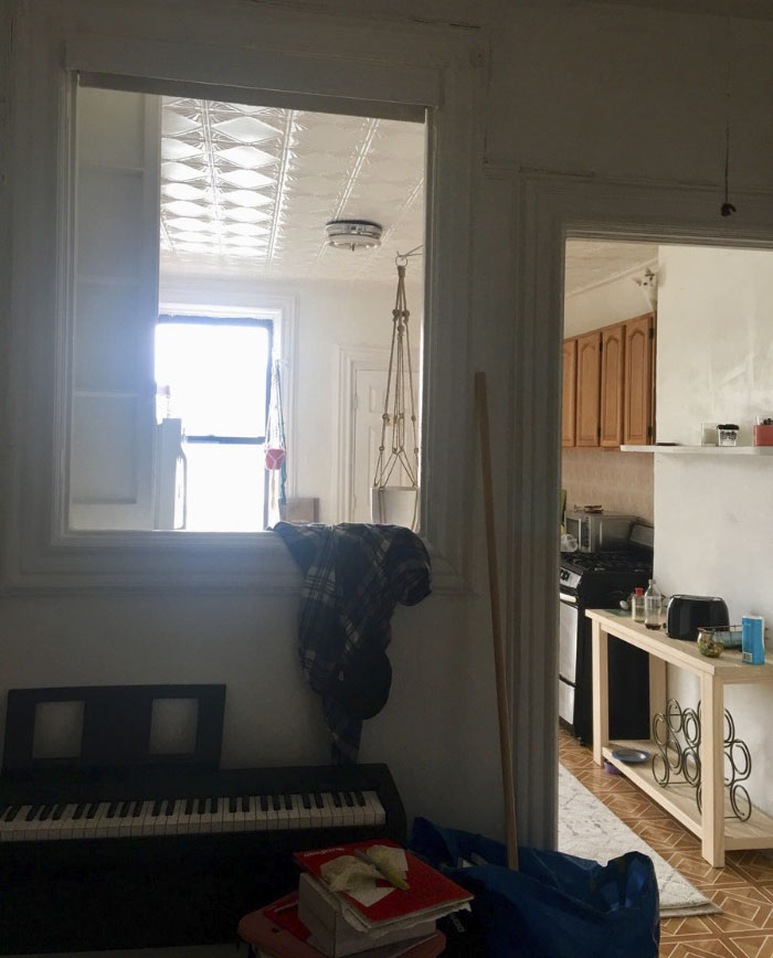 Almost Nobody Could Find The Cat In This Picture, And Her Owner Posted A Whole Gallery Of Her Ninja Cat