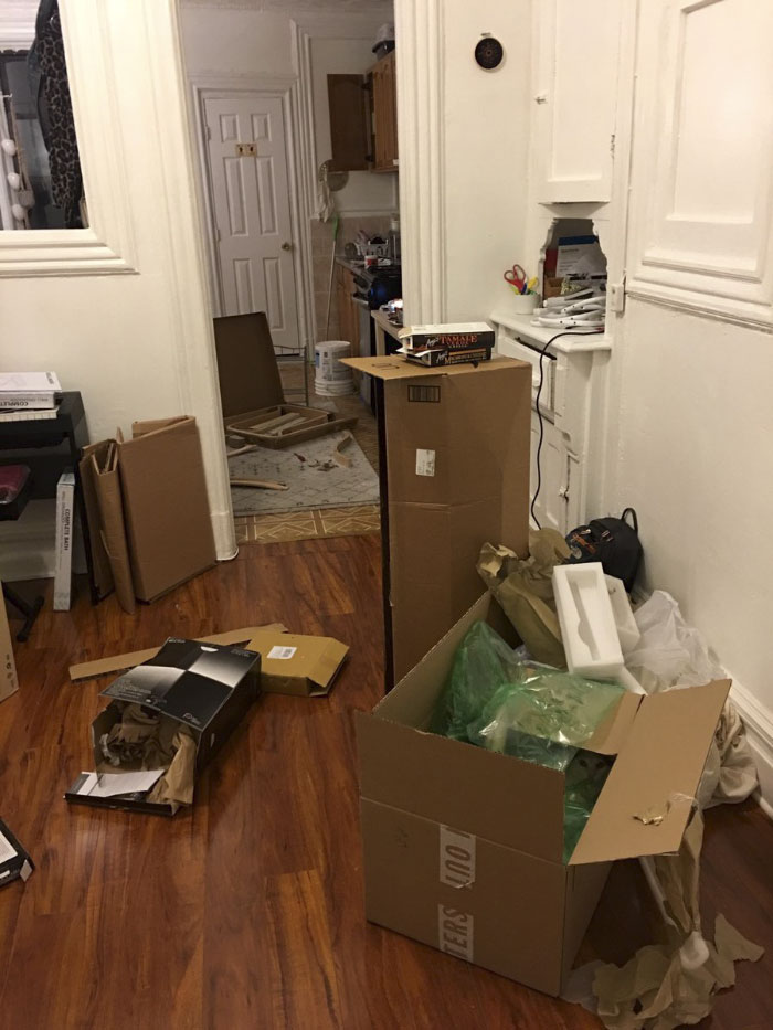 Almost Nobody Could Find The Cat In This Picture, And Her Owner Posted A Whole Gallery Of Her Ninja Cat