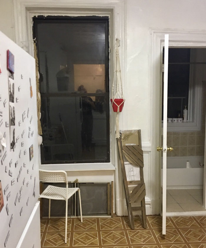 Almost Nobody Could Find The Cat In This Picture, And Her Owner Posted A Whole Gallery Of Her Ninja Cat