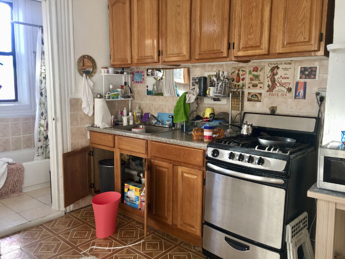 Almost Nobody Could Find The Cat In This Picture, And Her Owner Posted A Whole Gallery Of Her Ninja Cat