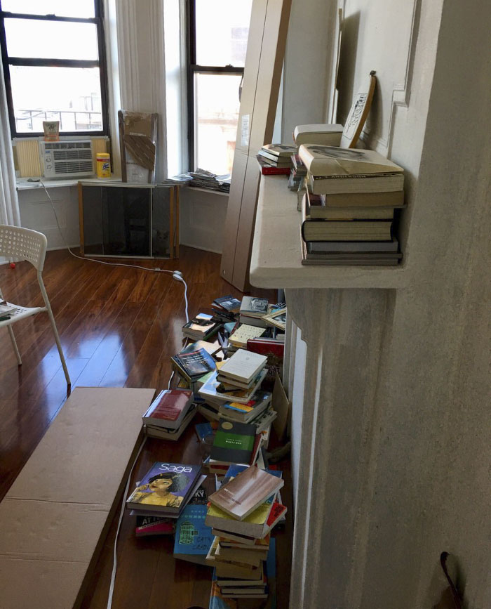 Almost Nobody Could Find The Cat In This Picture, And Her Owner Posted A Whole Gallery Of Her Ninja Cat