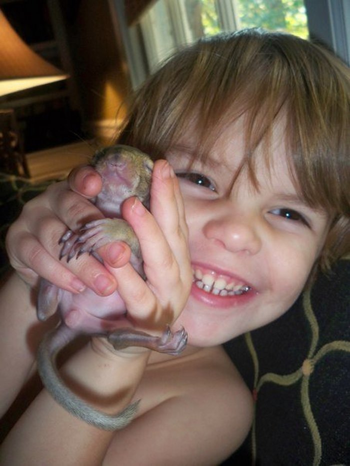 This Squirrel Keeps Coming Back To Visit The Family That Saved Her 8 Years Ago This Squirrel Keeps Coming Back To Visit The Family That Saved Her 8 Years Ago