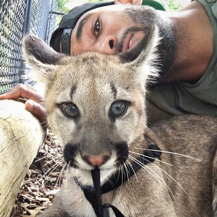 This Exotic Animal Specialist Is The Real-Life Tarzan