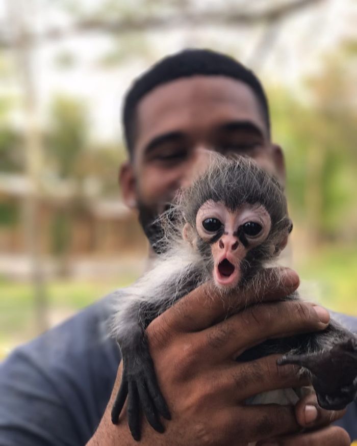 This Exotic Animal Specialist Is The Real-Life Tarzan