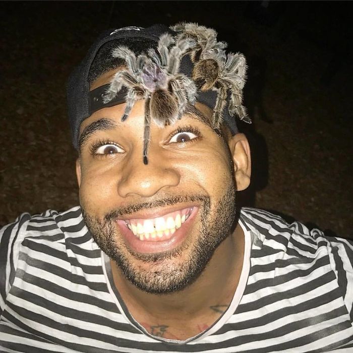 This Exotic Animal Specialist Is The Real-Life Tarzan