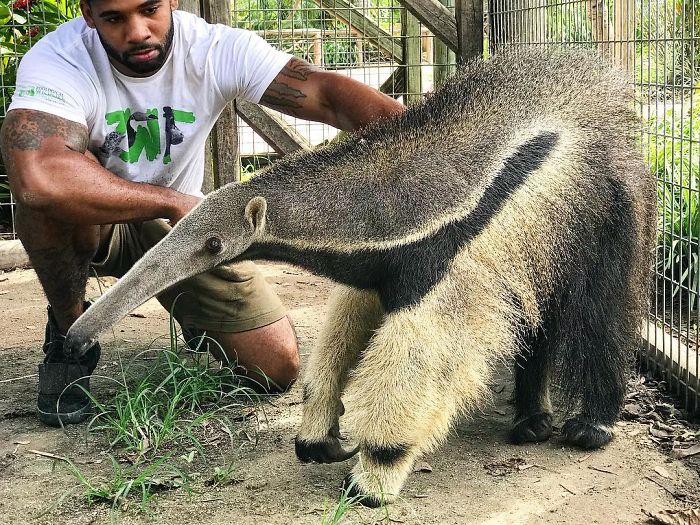 This Exotic Animal Specialist Is The Real-Life Tarzan