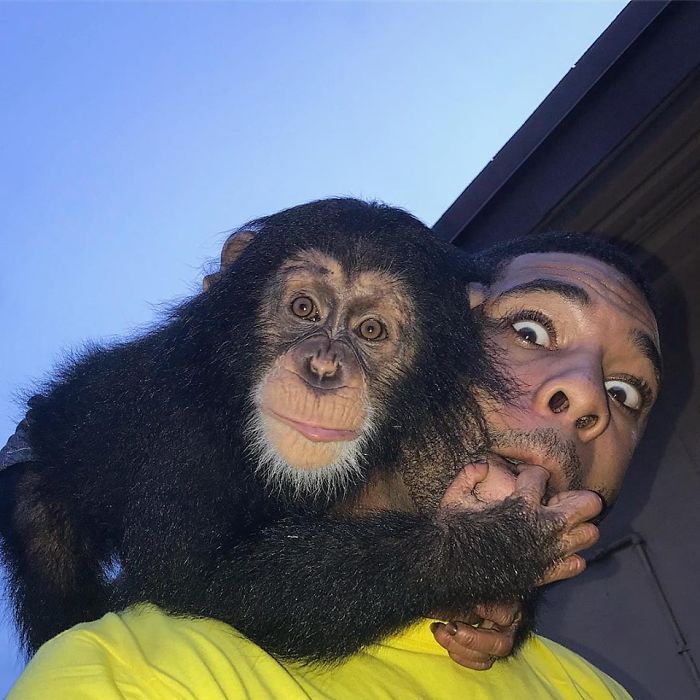 This Exotic Animal Specialist Is The Real-Life Tarzan