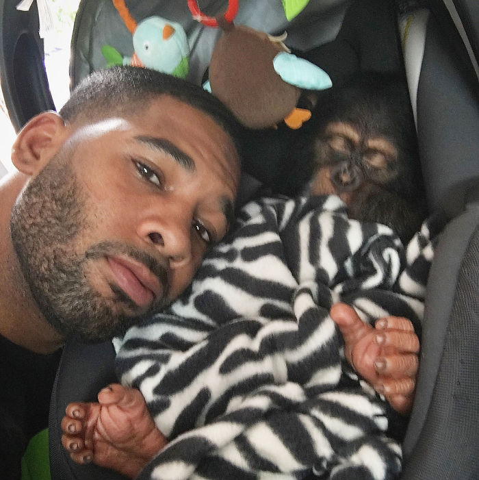 This Exotic Animal Specialist Is The Real-Life Tarzan