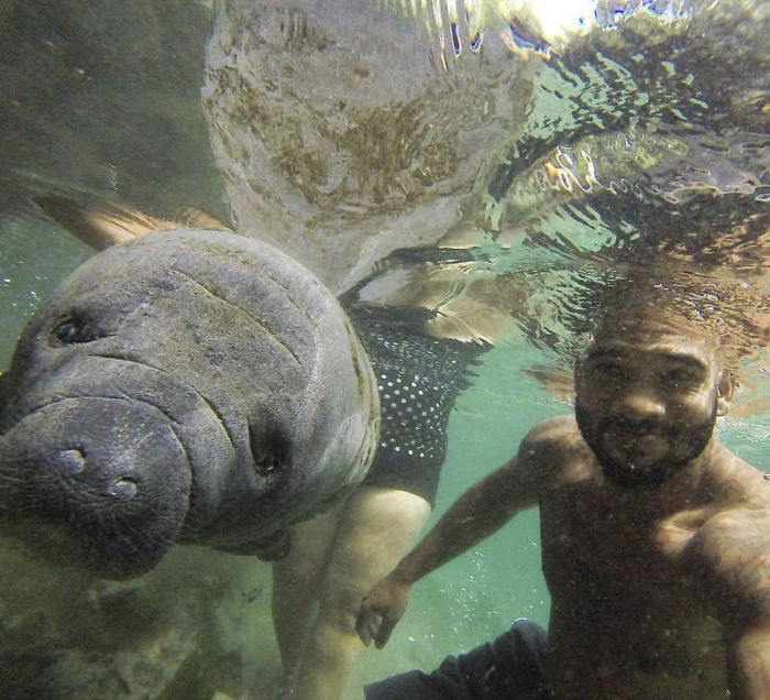 This Exotic Animal Specialist Is The Real-Life Tarzan