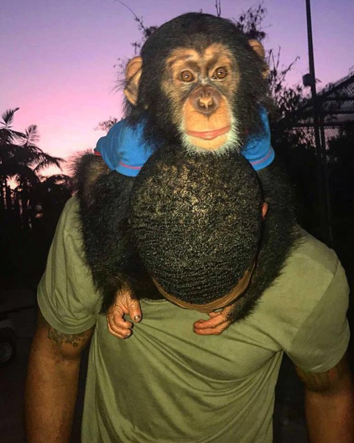 This Exotic Animal Specialist Is The Real-Life Tarzan