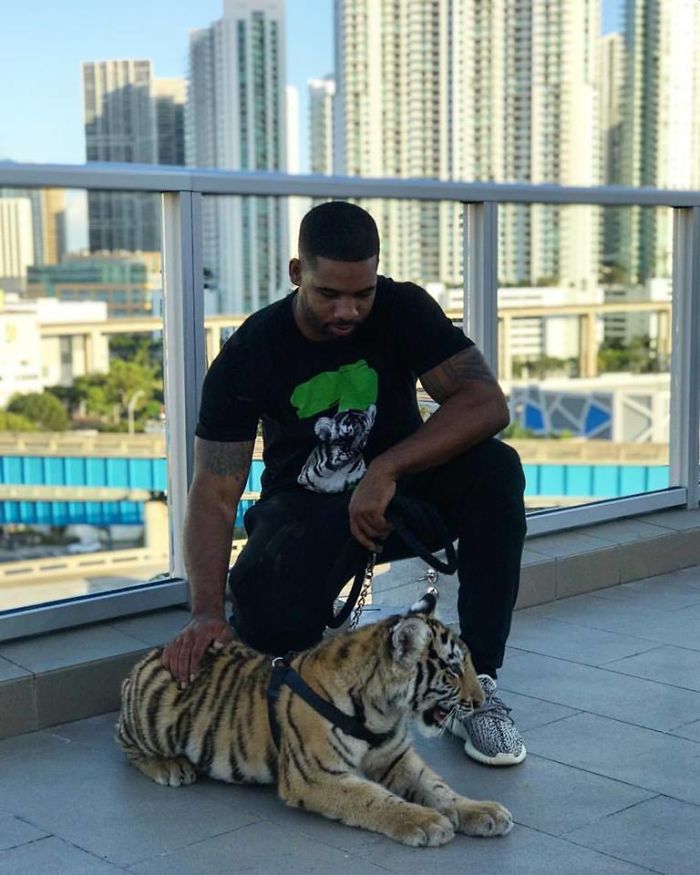 This Exotic Animal Specialist Is The Real-Life Tarzan