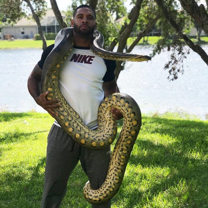 This Exotic Animal Specialist Is The Real-Life Tarzan