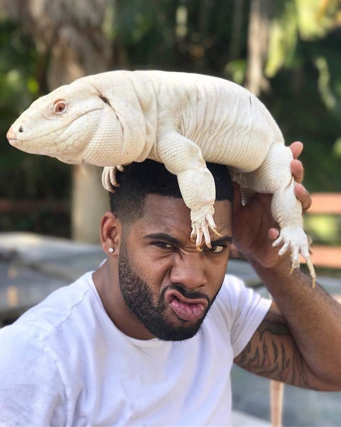 This Exotic Animal Specialist Is The Real-Life Tarzan