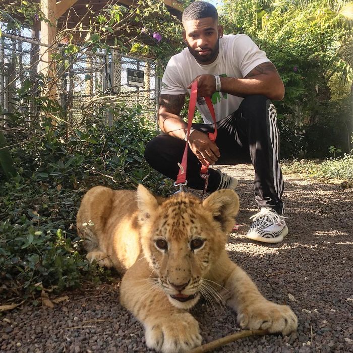 This Exotic Animal Specialist Is The Real-Life Tarzan