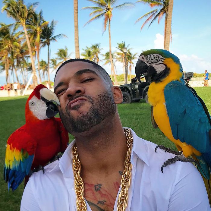 This Exotic Animal Specialist Is The Real-Life Tarzan