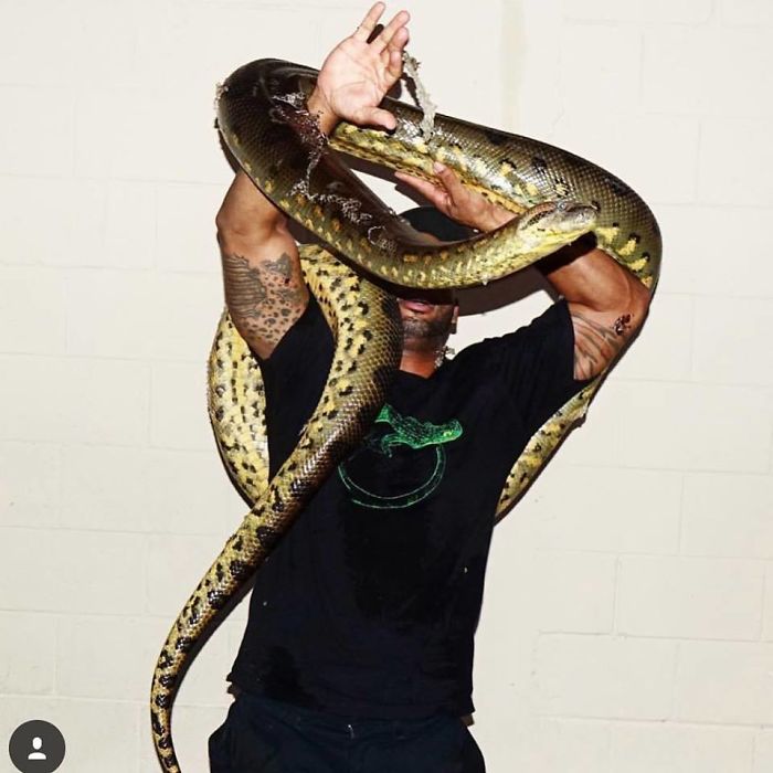 This Exotic Animal Specialist Is The Real-Life Tarzan